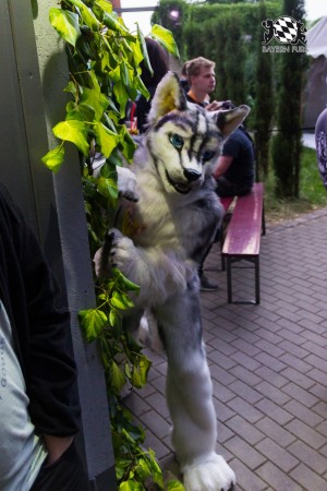 BFD7 0031 von Amee2k BFD7 0031 von Amee2k