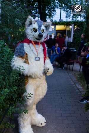 BFD7 0041 von Amee2k BFD7 0041 von Amee2k