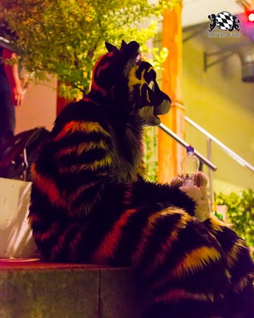 BFD7 0084 von Amee2k BFD7 0084 von Amee2k