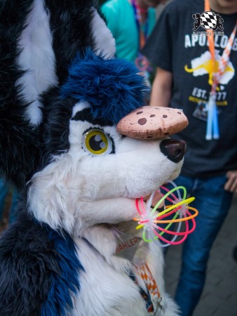 BFD7 0091 von Arthy BFD7 0091 von Arthy