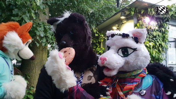 BFD7 0208 von Cydo BFD7 0208 von Cydo