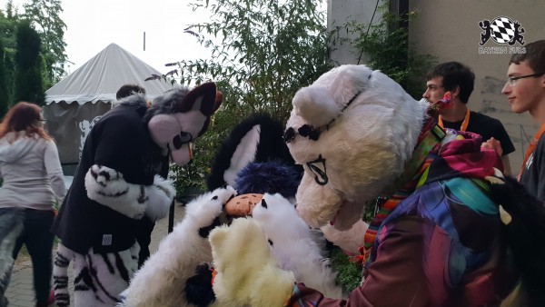 BFD7 0211 von Cydo BFD7 0211 von Cydo