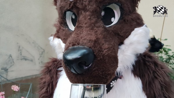 BFD7 0226 von Cydo BFD7 0226 von Cydo