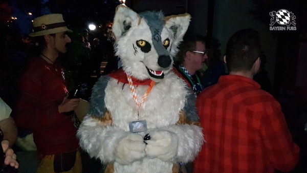 BFD7 0234 von Cydo BFD7 0234 von Cydo