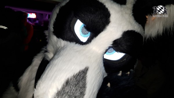 BFD7 0237 von Cydo BFD7 0237 von Cydo