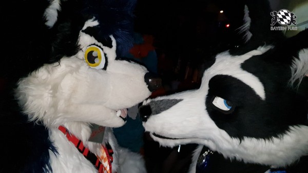 BFD7 0238 von Cydo BFD7 0238 von Cydo