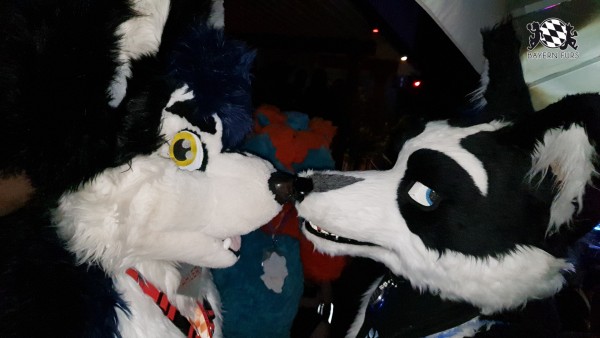 BFD7 0239 von Cydo BFD7 0239 von Cydo