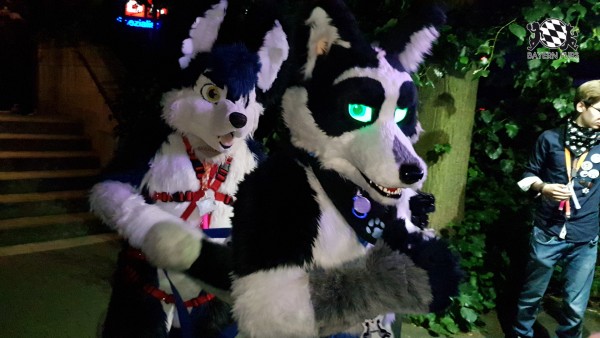 BFD7 0240 von Cydo BFD7 0240 von Cydo