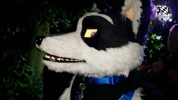 BFD7 0254 von Cydo BFD7 0254 von Cydo