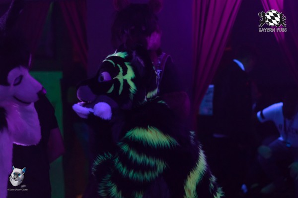 BFD7 0267 von FuWo BFD7 0267 von FuWo