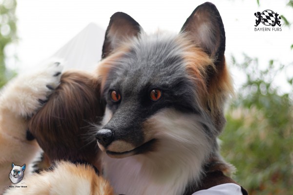 BFD7 0269 von FuWo BFD7 0269 von FuWo