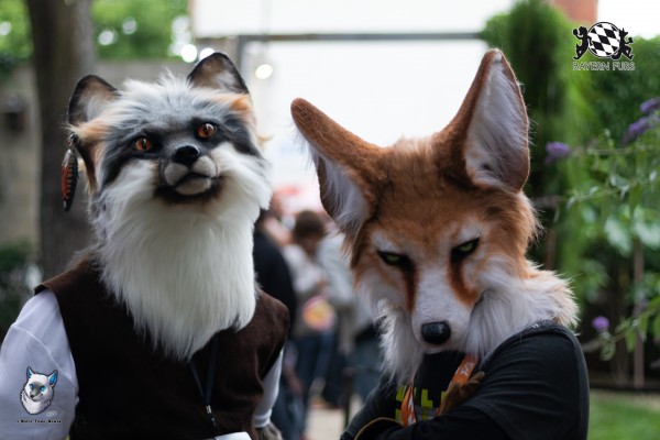 BFD7 0270 von FuWo BFD7 0270 von FuWo