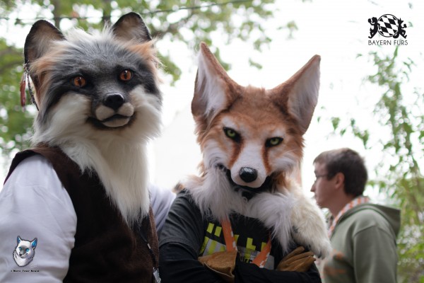 BFD7 0273 von FuWo BFD7 0273 von FuWo