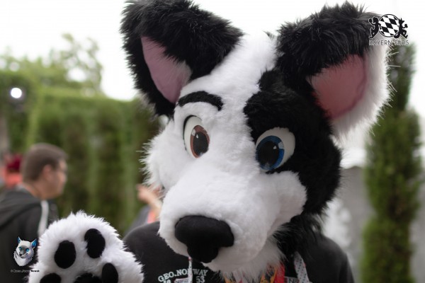 BFD7 0275 von FuWo BFD7 0275 von FuWo