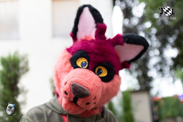 BFD7 0277 von FuWo BFD7 0277 von FuWo