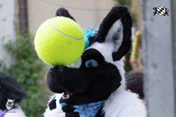 BFD7 0281 von FuWo BFD7 0281 von FuWo