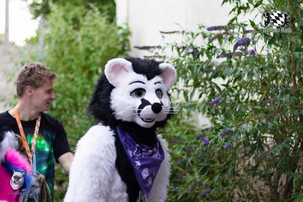 BFD7 0282 von FuWo BFD7 0282 von FuWo