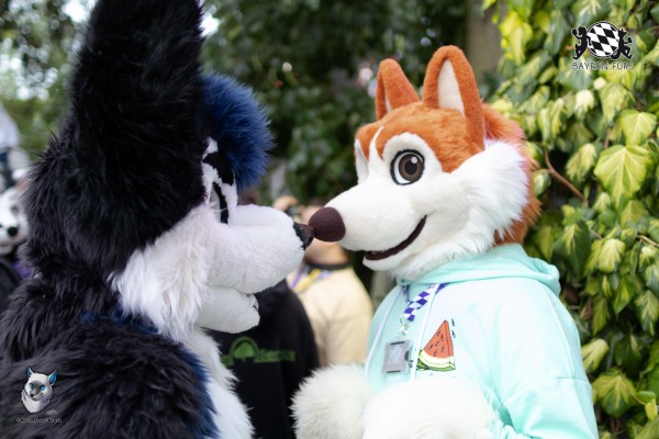 BFD7 0287 von FuWo BFD7 0287 von FuWo