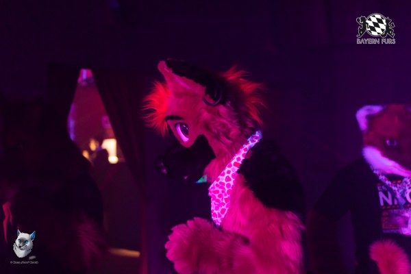 BFD7 0291 von FuWo BFD7 0291 von FuWo