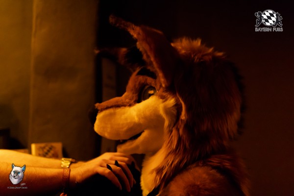 BFD7 0294 von FuWo BFD7 0294 von FuWo