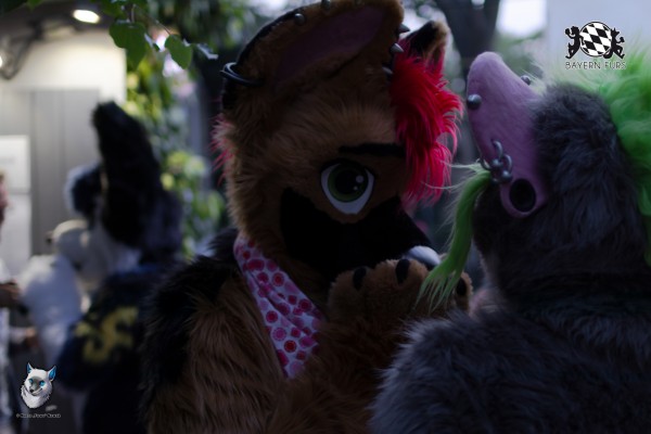 BFD7 0297 von FuWo BFD7 0297 von FuWo