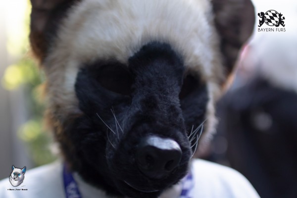 BFD7 0298 von FuWo BFD7 0298 von FuWo