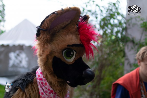 BFD7 0299 von FuWo BFD7 0299 von FuWo