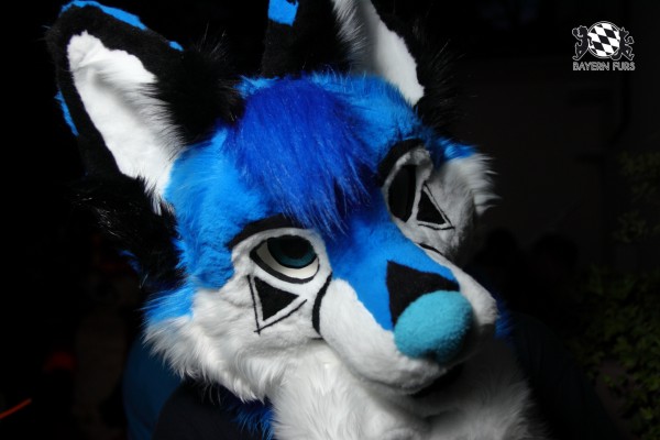 BFD9 0133 von Sidney Kenson BFD9 0133 von Sidney Kenson