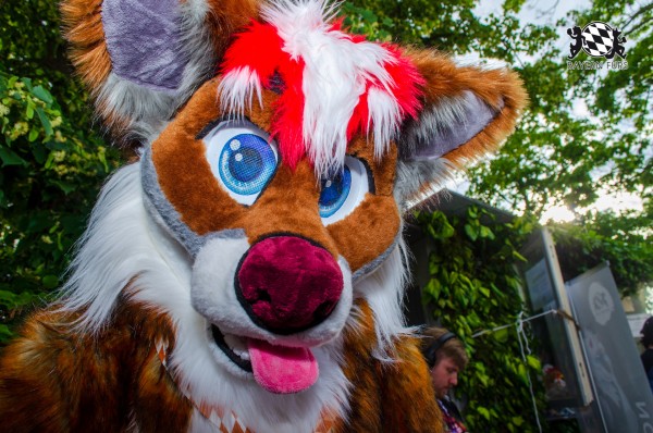 BFD9 0219 von Astertz BFD9 0219 von Astertz