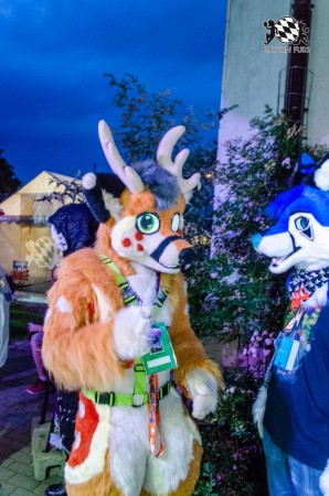 BFD9 0221 von Astertz BFD9 0221 von Astertz