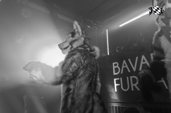 BFD9 0229 von Astertz BFD9 0229 von Astertz