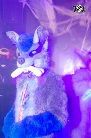 BFD9 0243 von Astertz BFD9 0243 von Astertz