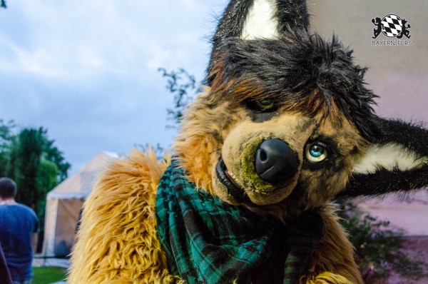 BFD9 0249 von Astertz BFD9 0249 von Astertz