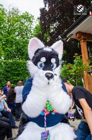 BFD9 0257 von Astertz BFD9 0257 von Astertz