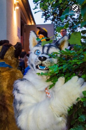 BFD9 0258 von Astertz BFD9 0258 von Astertz