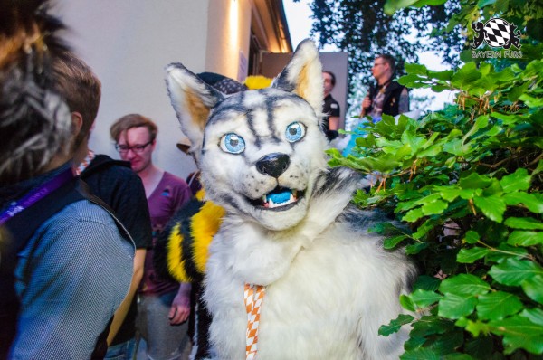 BFD9 0259 von Astertz BFD9 0259 von Astertz