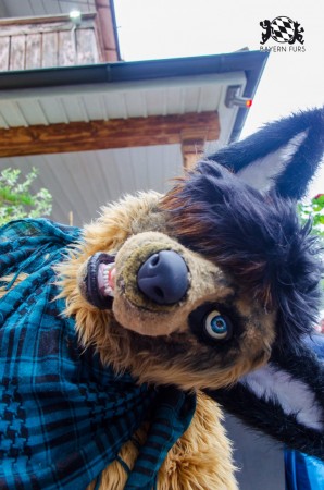 BFD9 0268 von Astertz BFD9 0268 von Astertz