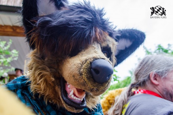 BFD9 0269 von Astertz BFD9 0269 von Astertz