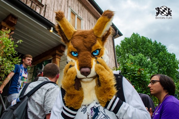 BFD9 0274 von Astertz BFD9 0274 von Astertz