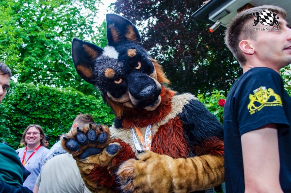 BFD9 0275 von Astertz BFD9 0275 von Astertz