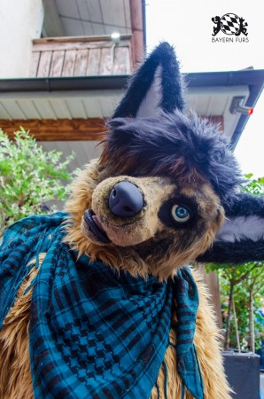 BFD9 0289 von Astertz BFD9 0289 von Astertz