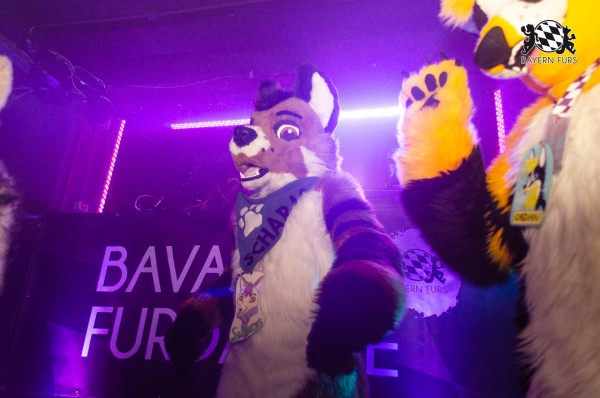 BFD9 0290 von Astertz BFD9 0290 von Astertz