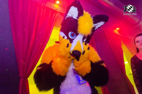 BFD9 0294 von Astertz BFD9 0294 von Astertz