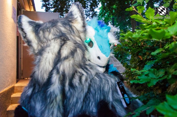 BFD9 0298 von Astertz BFD9 0298 von Astertz