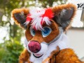 BFD9 0675 von Chaotika BFD9 0675 von Chaotika