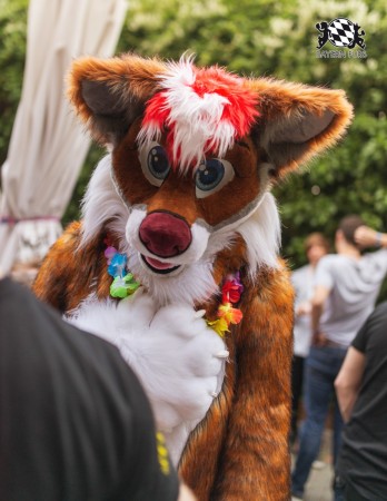 BFD9 0717 von Chaotika BFD9 0717 von Chaotika