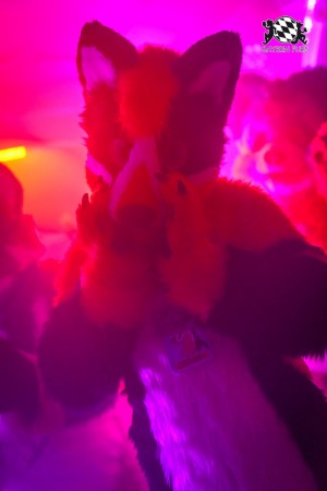 BFD9 0727 von Chaotika BFD9 0727 von Chaotika