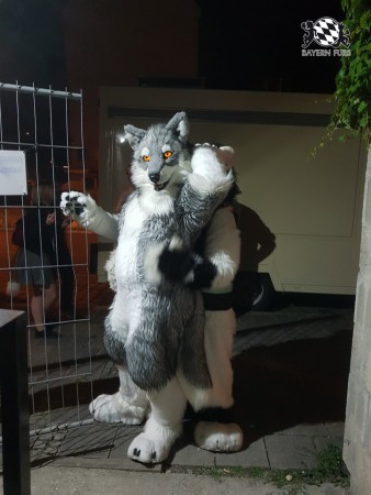 BFD9 0745 von Mingan BFD9 0745 von Mingan