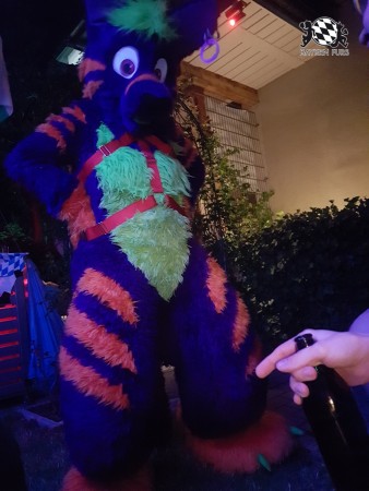 BFD9 0747 von Mingan BFD9 0747 von Mingan