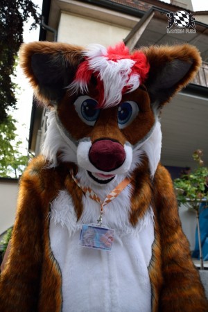 BFD9 0755 von Tenzo BFD9 0755 von Tenzo